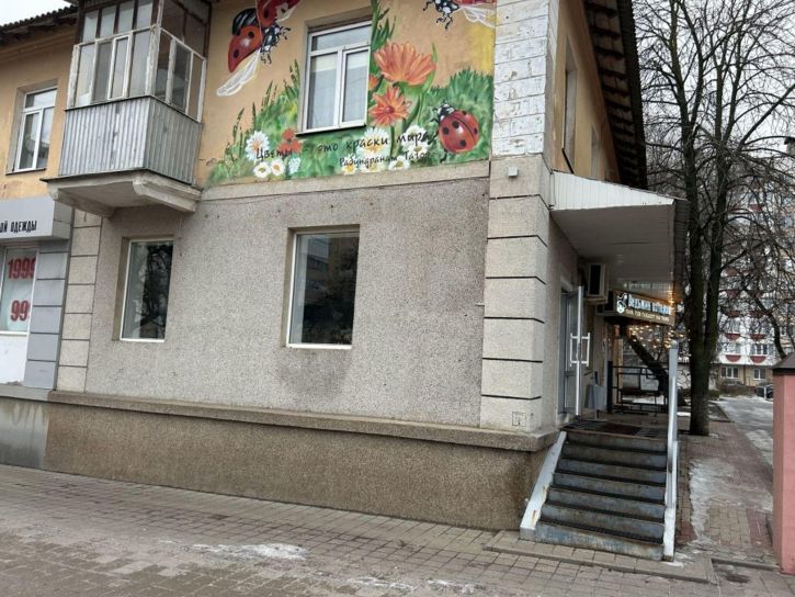 Торговое помещение 50 лет Белгородской области ул, 17