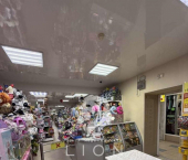 торговое помещение 189 кв м пр-кт Б.Хмельницкого, 131