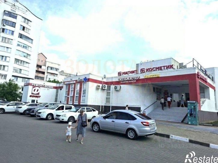 Торговое помещение ул Челюскинцев, 55а,  д. 55а