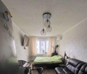 комната 32 кв м Пушкина улица, 12