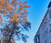 2-комн, 46кв м, этаж 3/5 пр-кт Б.Хмельницкого, 110