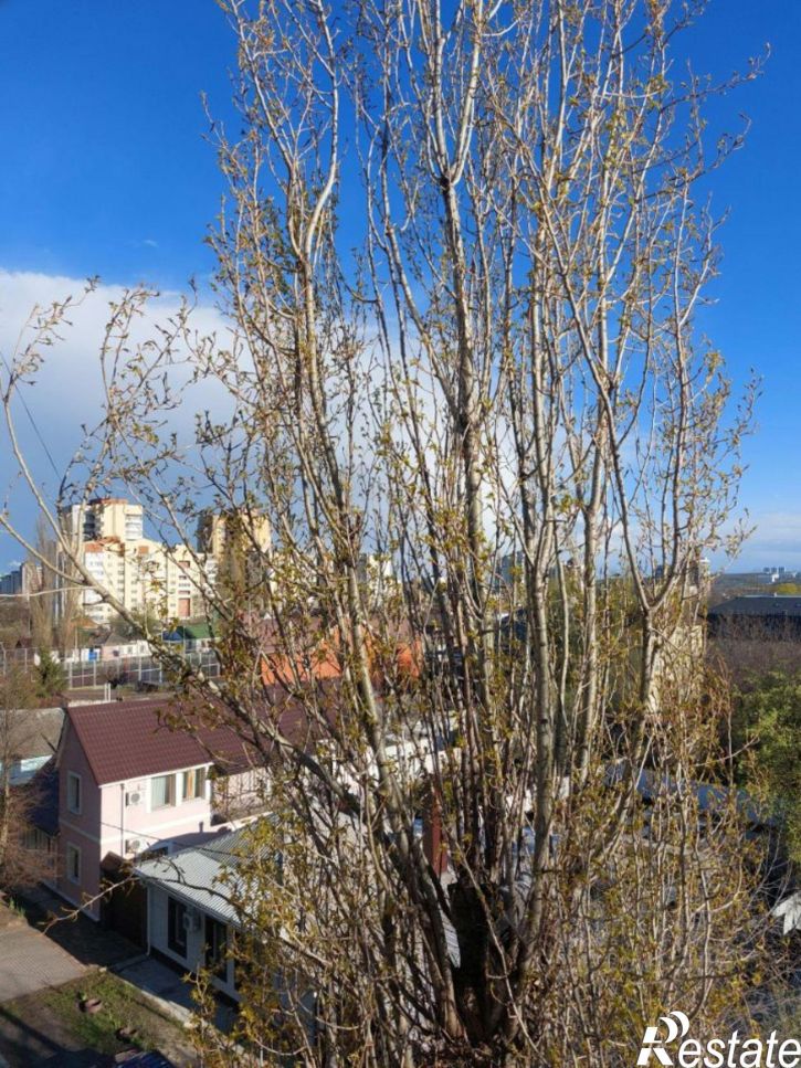 2-комн квартира ул Попова, 68а,  д. 68а