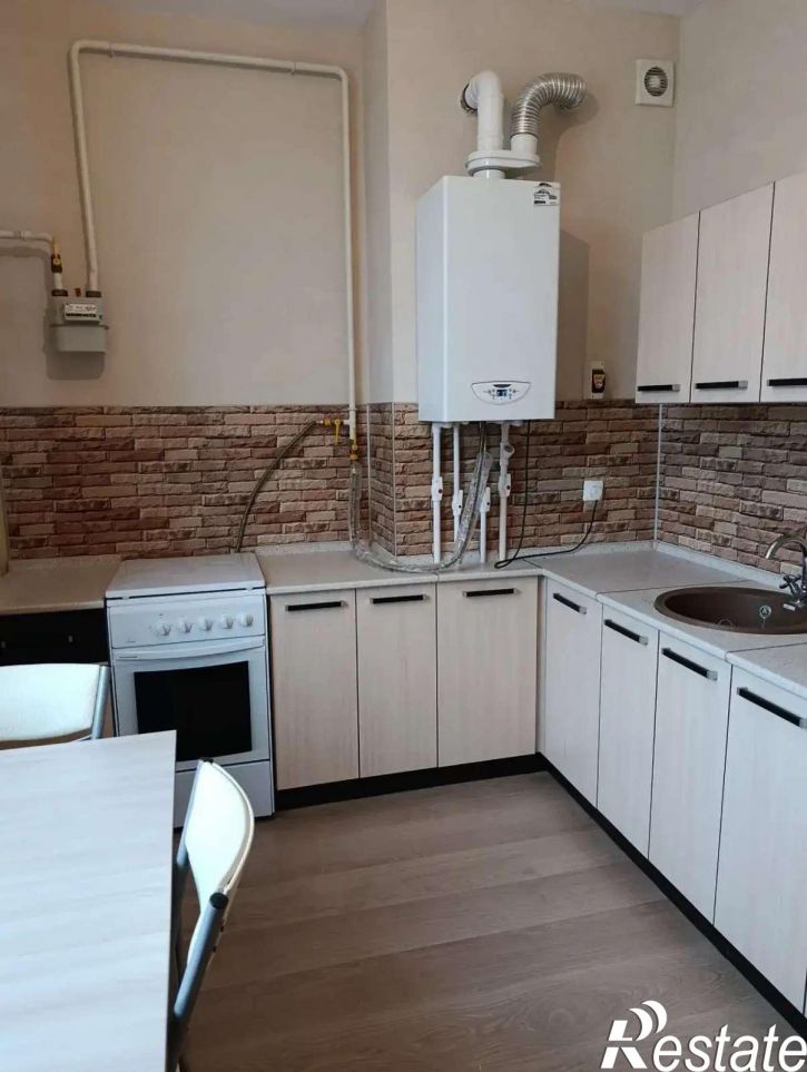 1-комн квартира Большетроицкая улица, 28А