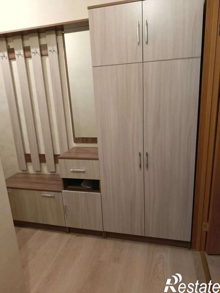 1-комн квартира Большетроицкая улица, 28А