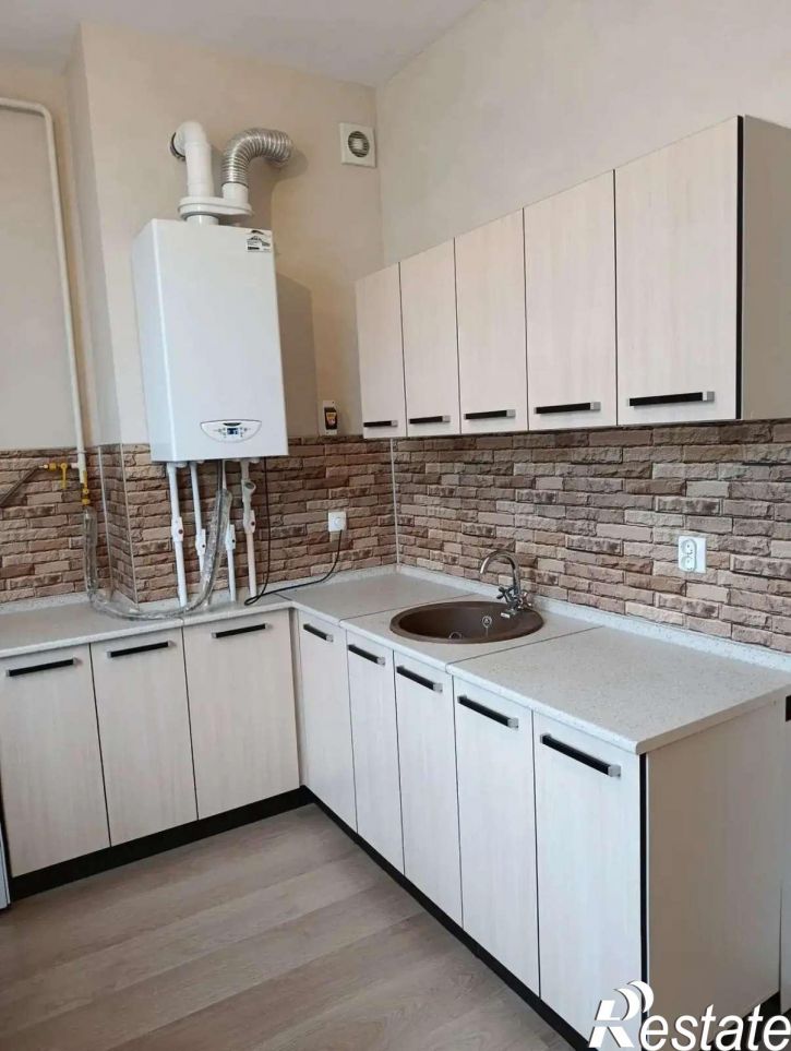 1-комн квартира Большетроицкая улица, 28А