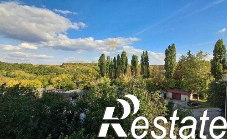 1-комн квартира улица Менделеева, 8А,  д. 8А