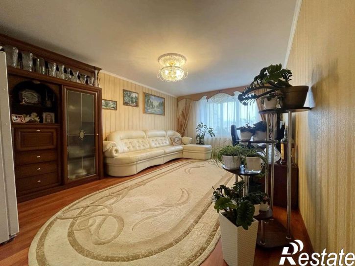 3-комн квартира Пушкина улица, 55